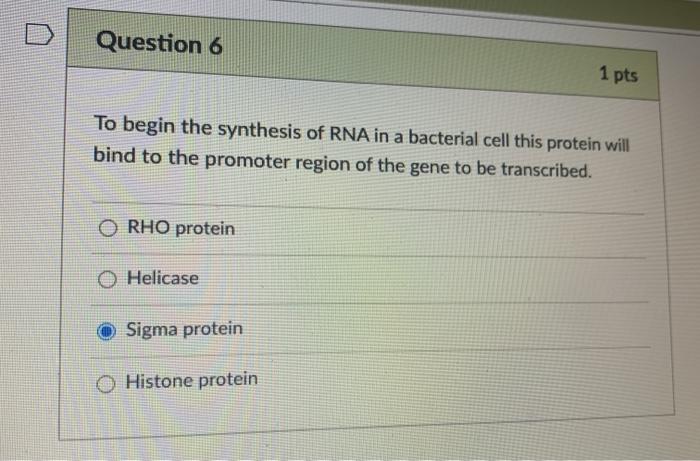 Solved Question 6 1 pts To begin the synthesis of RNA in a | Chegg.com