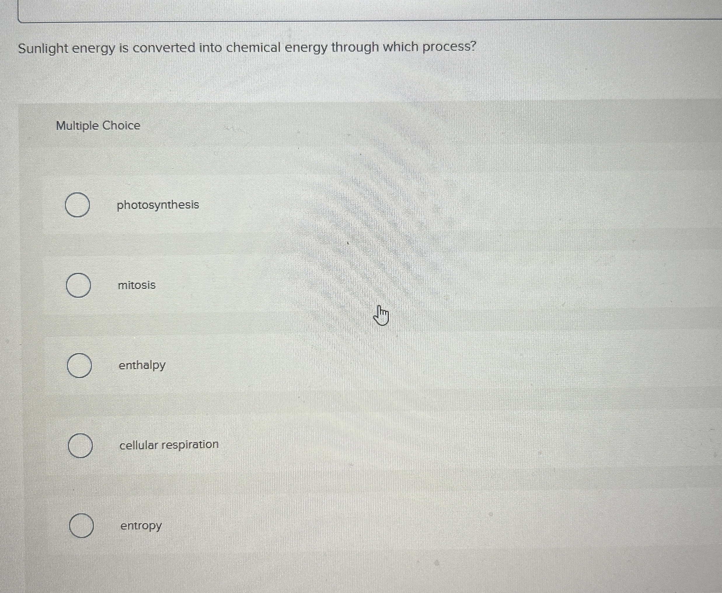 Solved Sunlight energy is converted into chemical energy