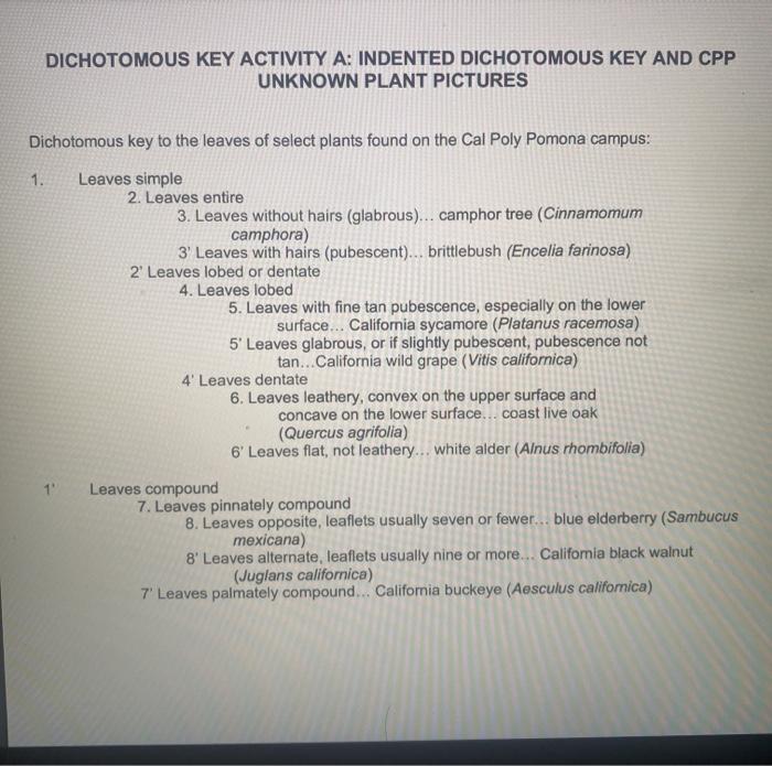 Solved LAB WORKSHEET A: INDENTED DICHOTOMOUS KEY AND CPP | Chegg.com