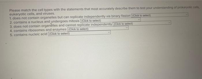 Please match the cell types with the statements that | Chegg.com