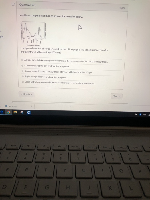 Solved Question 43 2 pts Use the accompanying figure to | Chegg.com