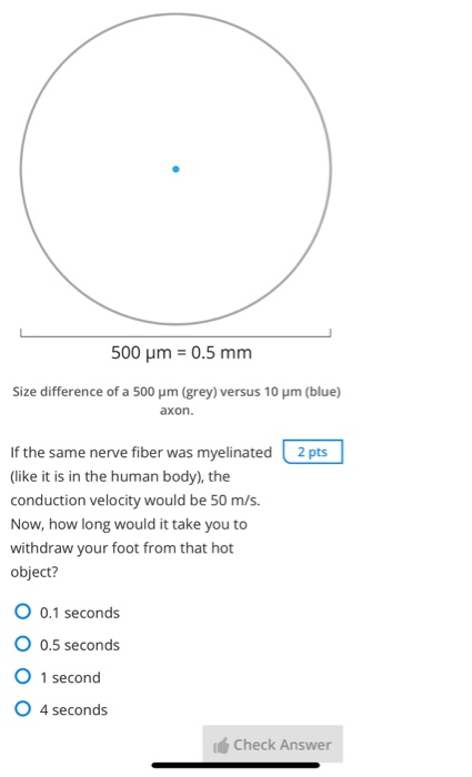 Solved To better understand the effect of diameter and | Chegg.com
