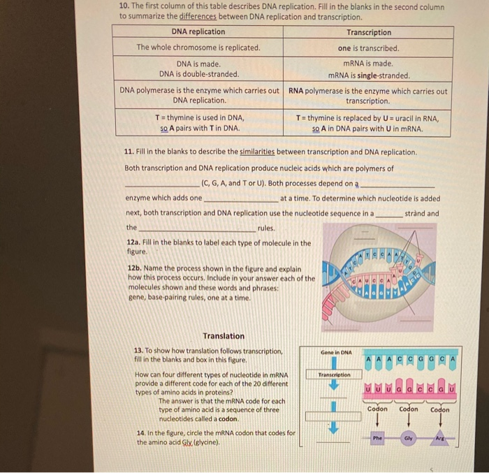 learning-task-1-dna-vs-rna-fill-the-comparison-table-below-zohal