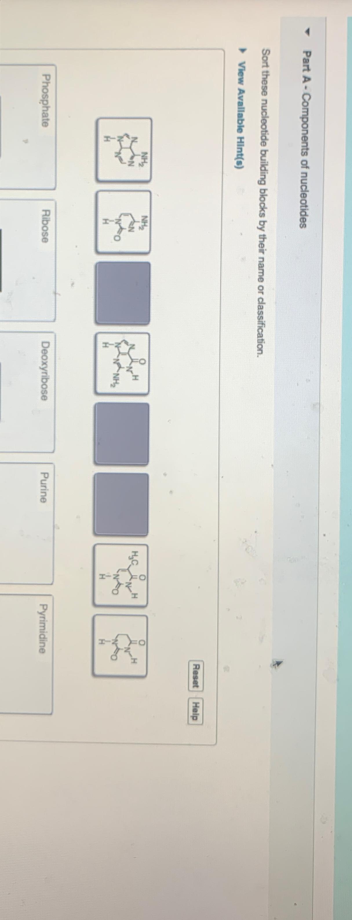 Solved Part A - ﻿Components of nucleotidesSort these | Chegg.com