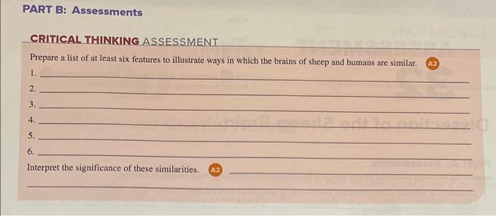 solved-part-b-assessments-critical-thinking-assessment-chegg