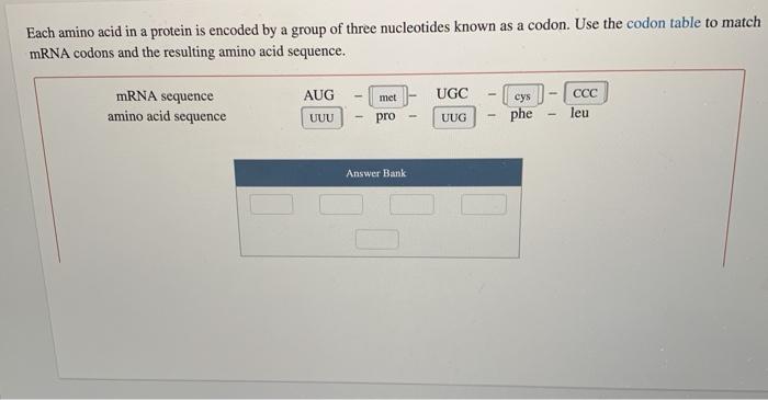 what-are-the-three-parts-of-a-nucleotide