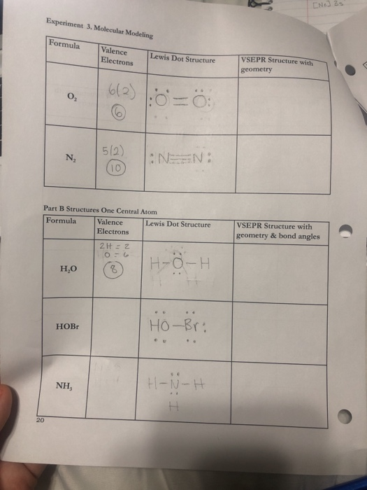 Solved [No] 3s Experiment 3. Molecular Modeling Formula | Chegg.com