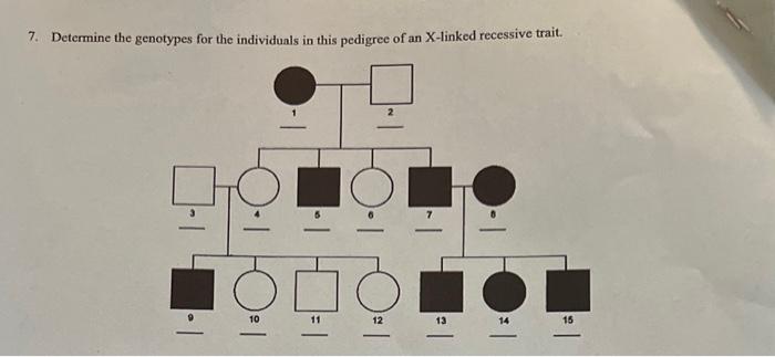 Solved 7. Determine the genotypes for the individuals in | Chegg.com