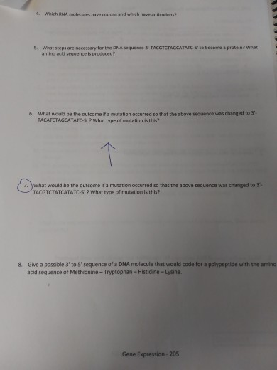 Solved What would be the outcome if a mutation occurred so | Chegg.com