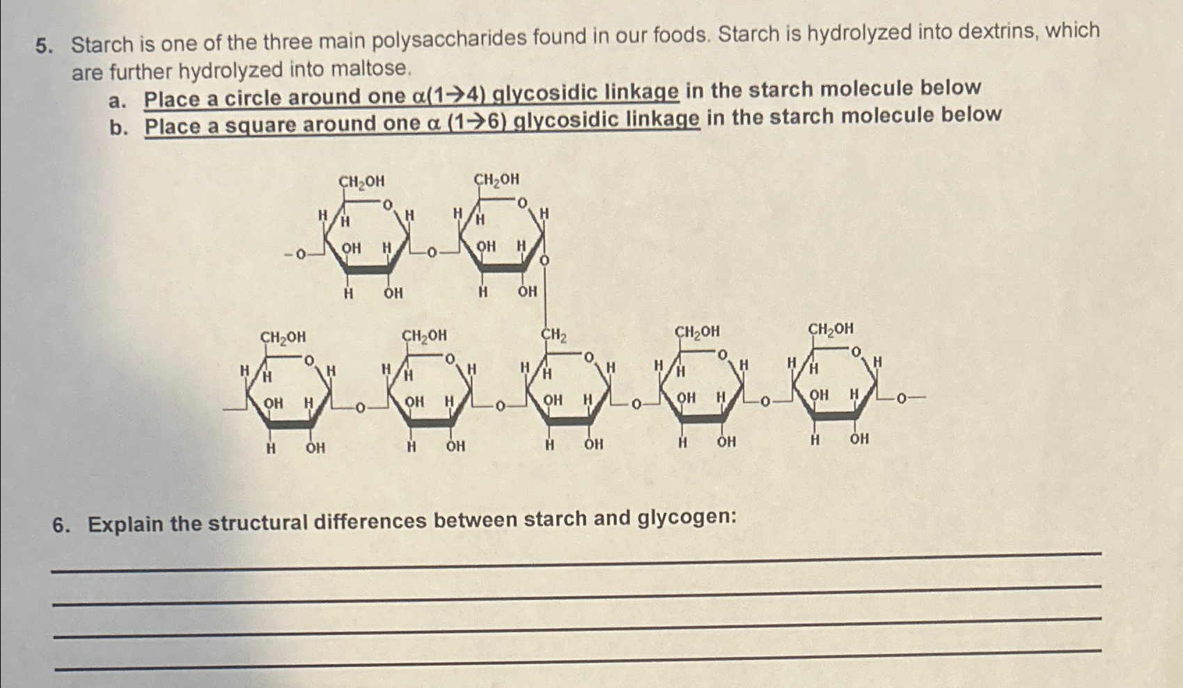 Solved Starch is one of the three main polysaccharides found | Chegg.com