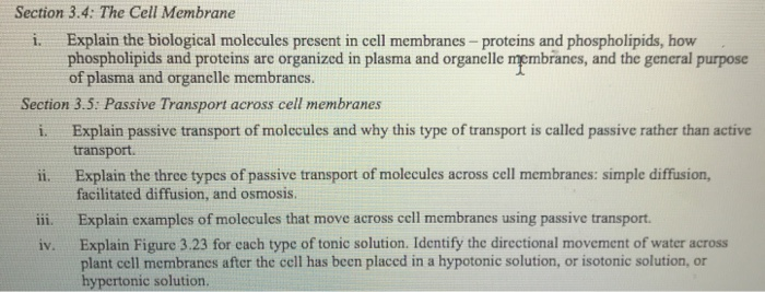 Cell membrane coloring activity worksheet answer key picture