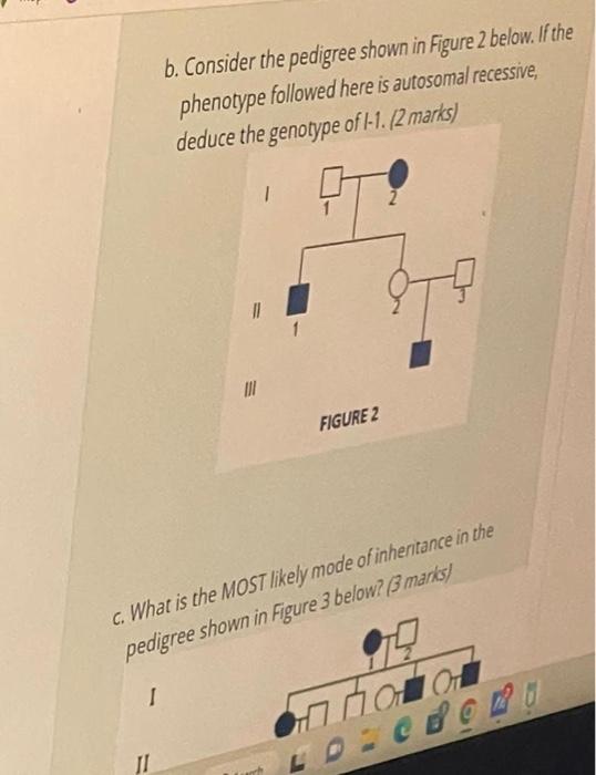 Solved a. Consider the Pedigree shown in Figure 1 below. | Chegg.com