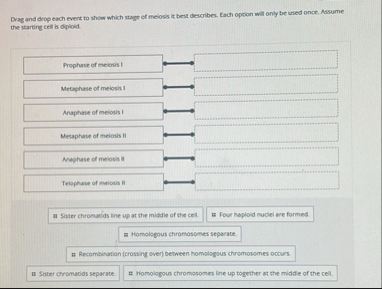 Solved Drag and drop each event to show which stage of | Chegg.com