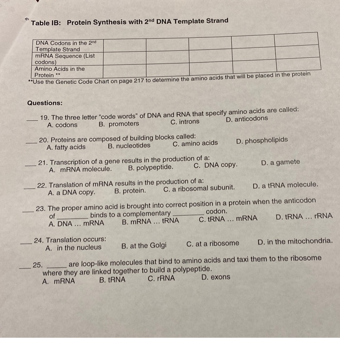 Solved 10 Lab Report DNA Extraction, Structure and Function