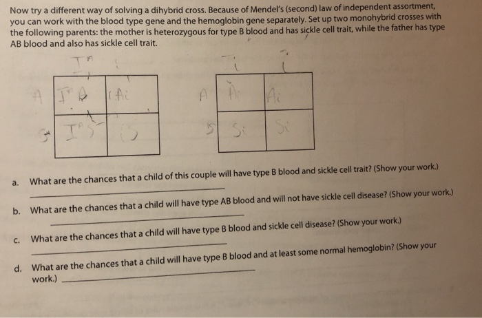 Solved Now Try A Different Way Of Solving A Dihybrid Cross Chegg Com