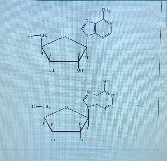 Solved Draw the small chunk of single-strand DNA that has | Chegg.com
