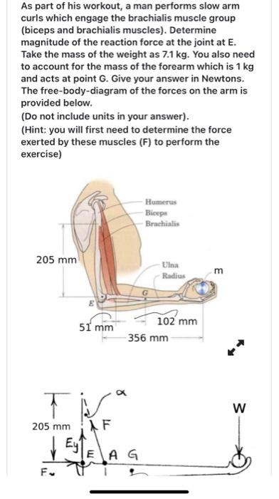 Solved As part of his workout, a man performs slow arm curls | Chegg.com