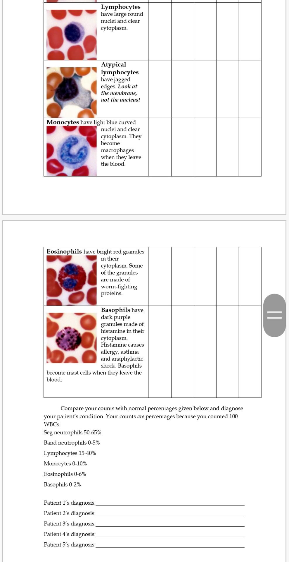 Solved Differential White Blood Cell Count You will be | Chegg.com