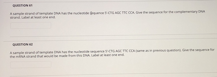 Solved QUESTION 63 A sample strand of template DNA has the | Chegg.com
