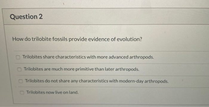 how do trilobite fossils provide evidence of evolution