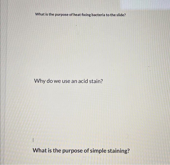 Solved What is the purpose of heat fixing bacteria to the