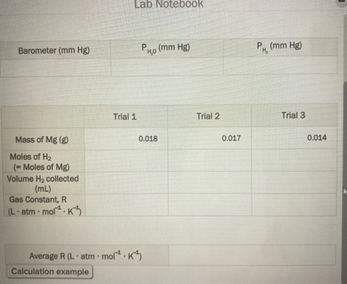 Solved Instructions Reaction setup O Mg, molar mass 24.305