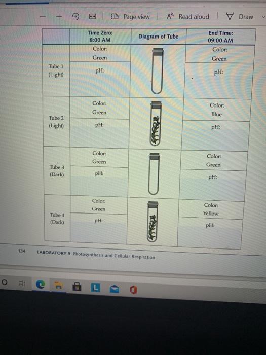 QUESTIONS FOR ANALYSIS 1. What are the functions of