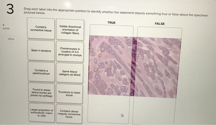 Solved 3 Drag each label into the appropriate position to | Chegg.com