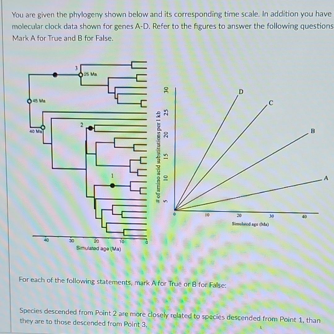 Solved You Are Given The Phylogeny Shown Below And Its | Chegg.com