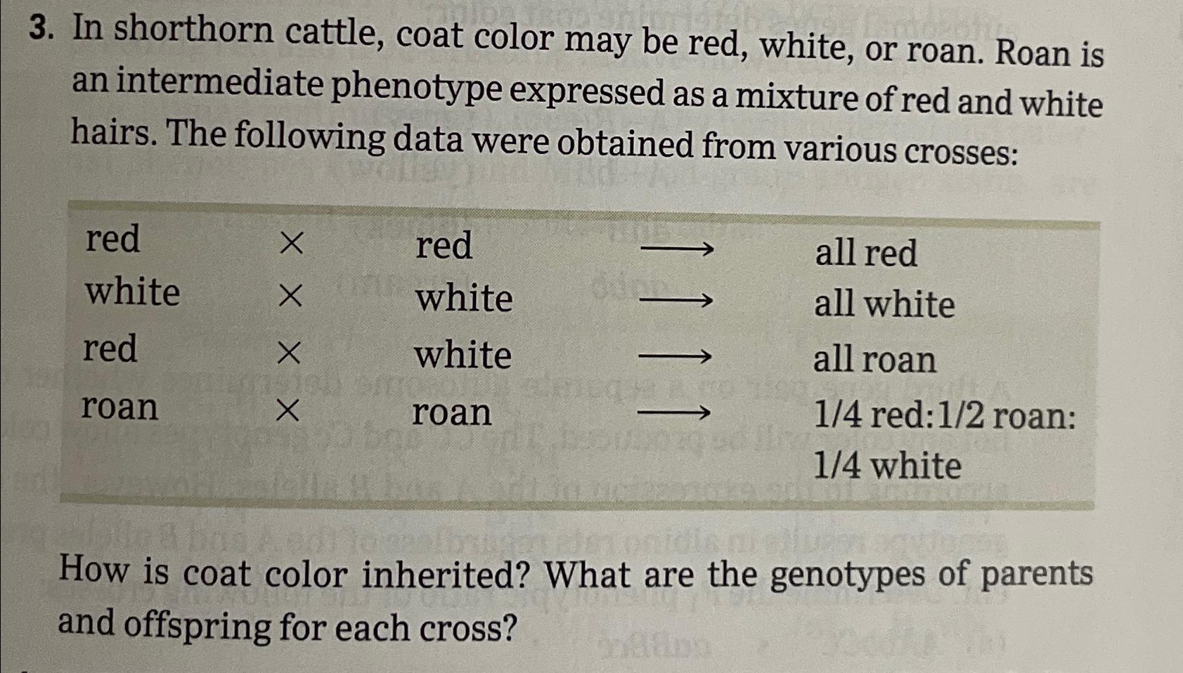 Solved In shorthorn cattle, coat color may be red, white, or