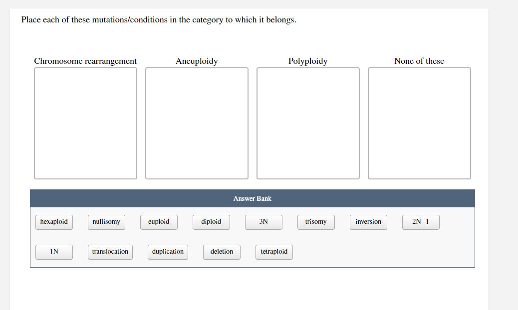 Solved Mutations Exercises You Are Given The Template Or Cheggcom