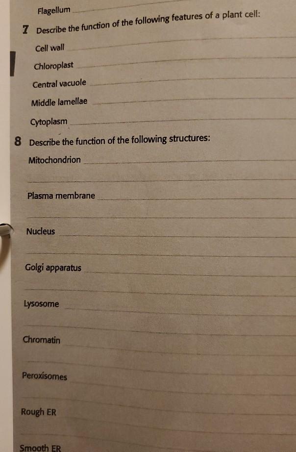 Solved Flagellum 7 Describe the function of the following | Chegg.com