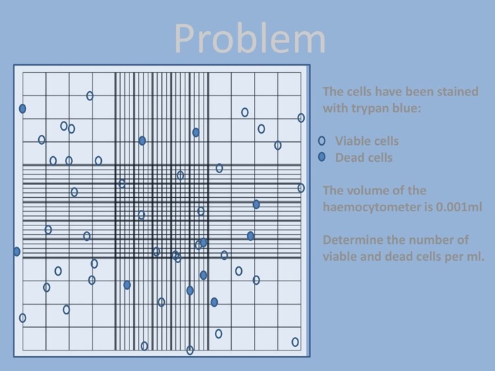 Solved Problem O The Cells Have Been Stained With Trypan Chegg Com