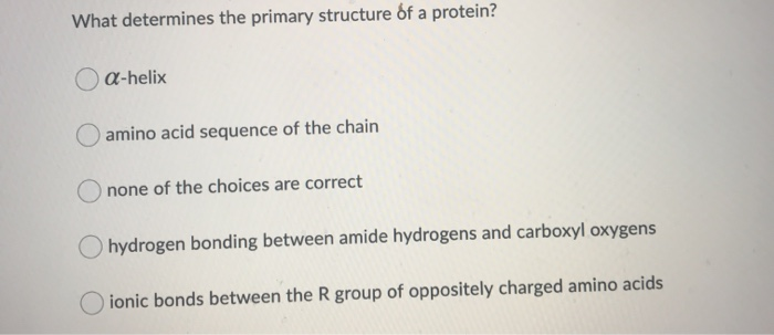 Solved What determines the primary structure of a protein? O | Chegg.com