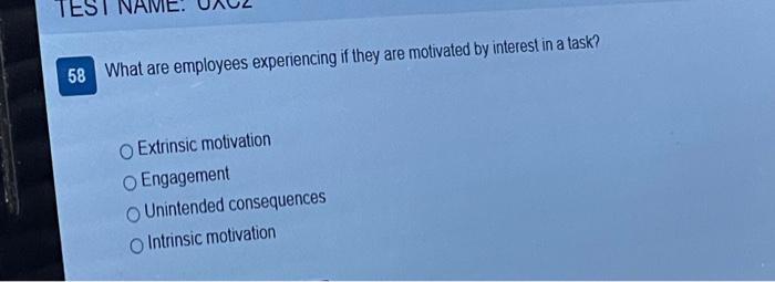 Unintended motivation essay 08 picture