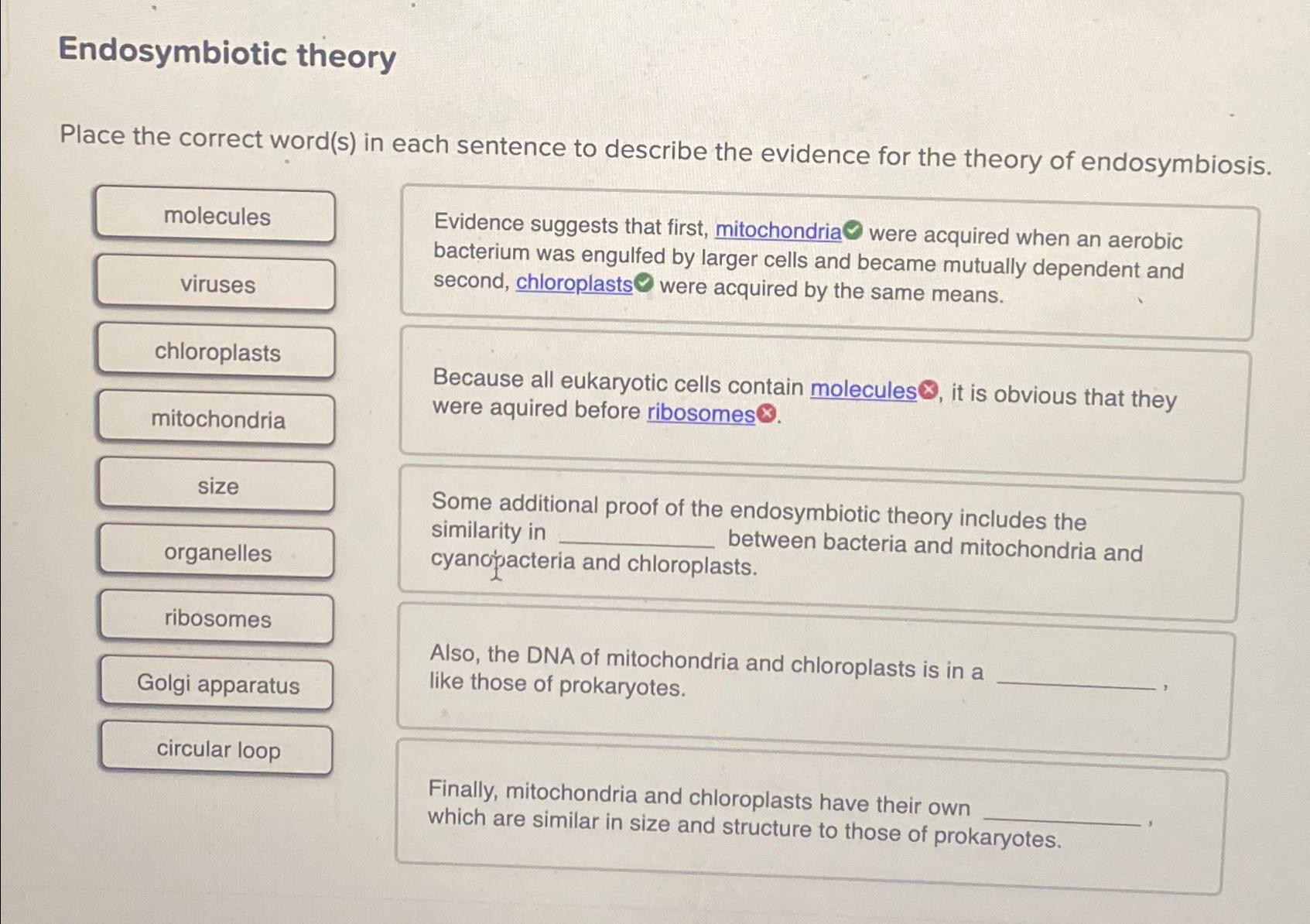 Solved Endosymbiotic theoryPlace the correct word(s) ﻿in | Chegg.com