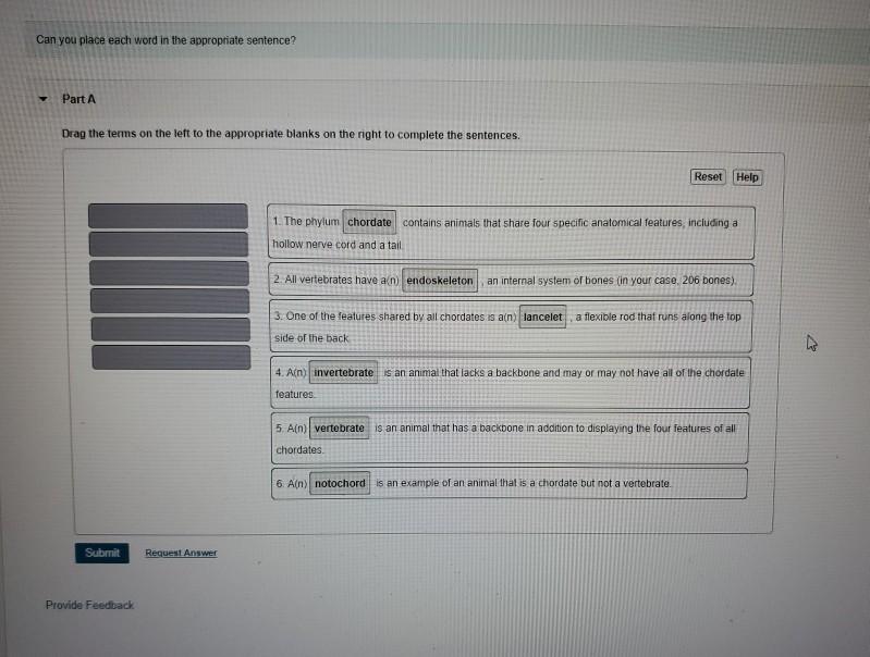 Solved Can you place each word in the appropriate sentence? | Chegg.com