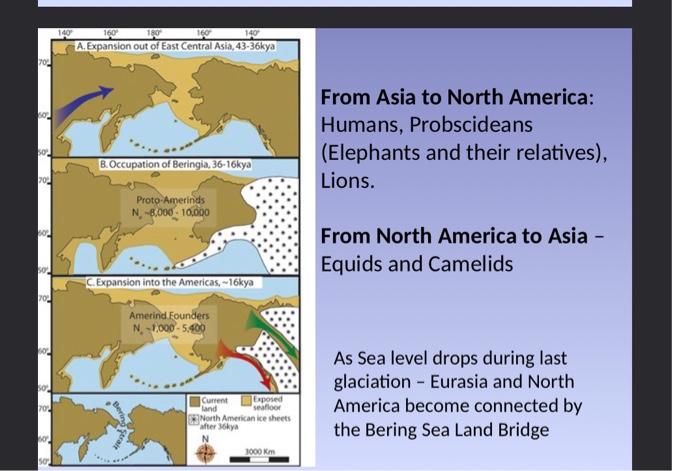 Solved Sea level drop associated with the last glaciation, | Chegg.com