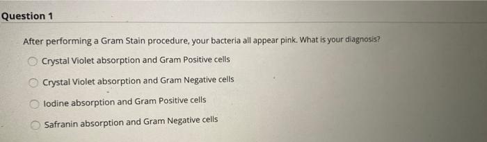 Solved Question 1 After performing a Gram Stain procedure, | Chegg.com
