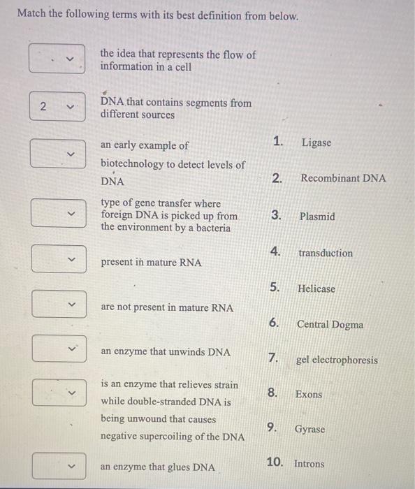 The tab for Greenthumb by Bongzilla is almost completely made up of  different combinations of the number 420 on the low E string. I dont know  whether to be impressed or disappointed 