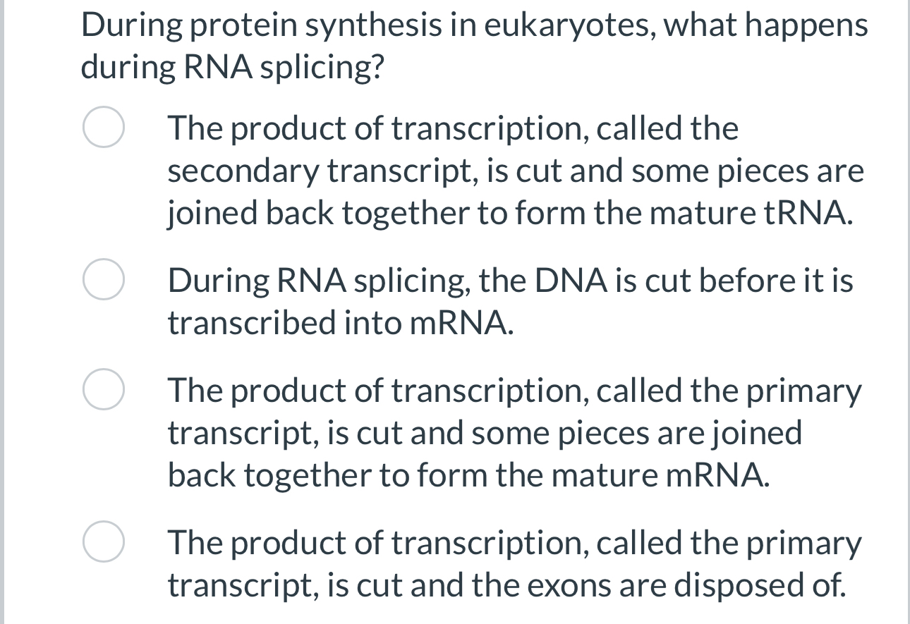 Solved During protein synthesis in eukaryotes, what happens | Chegg.com