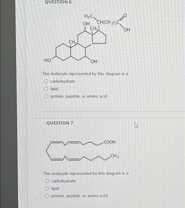 Solved QUESTION 2 The molecule represented by this diagram | Chegg.com