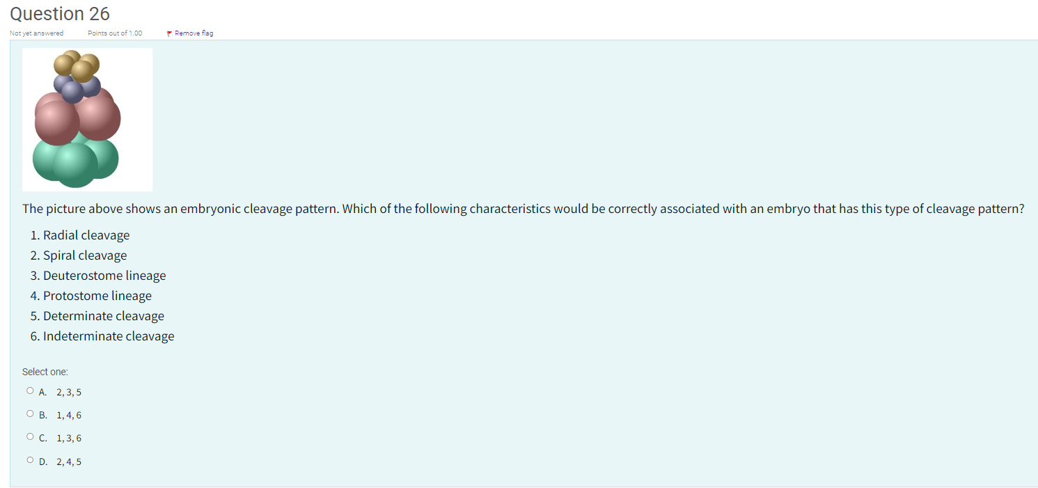 Solved Question 26The picture above shows an embryonic | Chegg.com
