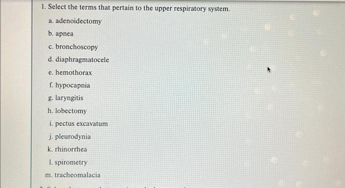 Solved 1. Select the terms that pertain to the upper | Chegg.com