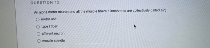 Solved QUESTION 12 An alpha motor neuron and all the muscle | Chegg.com