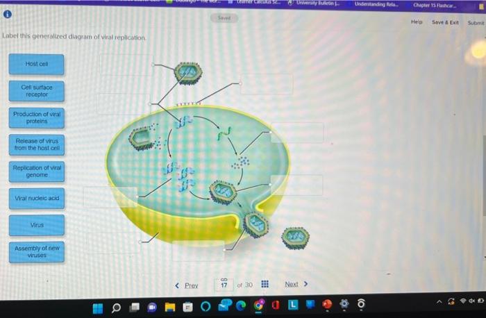 Solved Study the graphs below. which show how well a virus | Chegg.com