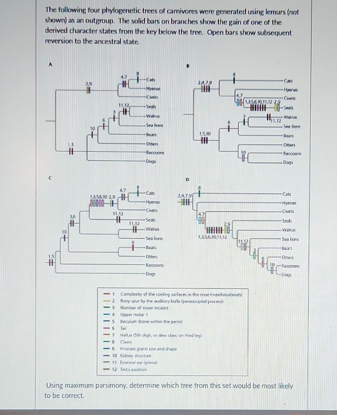 Solved Given the tree below, which of the following | Chegg.com