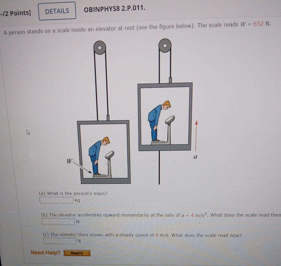 Solved A person stands on a scale inside an elevator at rest