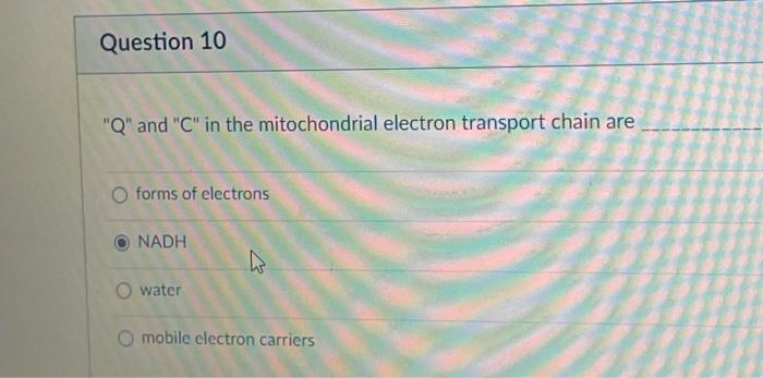 Solved "Q" and "C" in the mitochondrial electron transport | Chegg.com