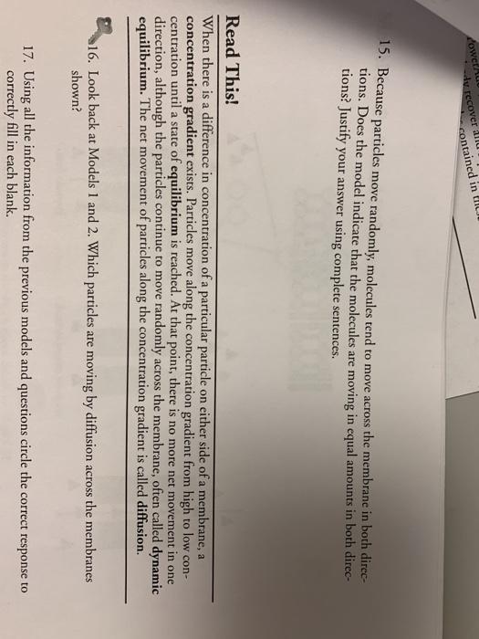 Solved Model 2 The Selectively Permeable Cell Membrane Chegg Com